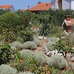 With Parking Space Sali, Dugi Otok - 872 Apartment